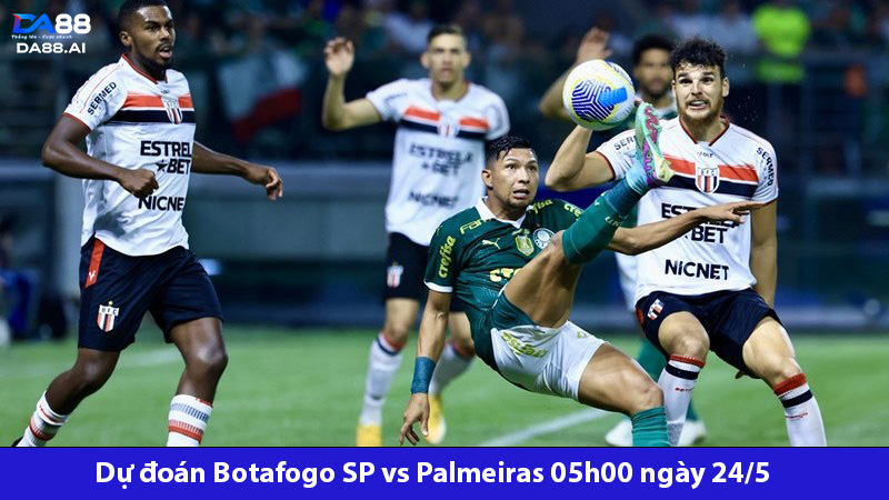 Dự đoán Botafogo SP vs Palmeiras 05h00 ngày 24/5