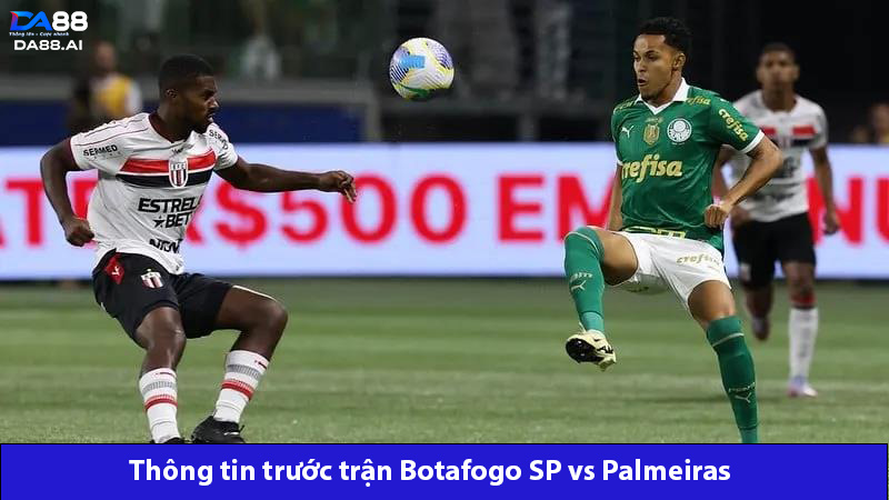 Đội khách chiếm ưu thế hơn trong trận Botafogo SP vs Palmeiras