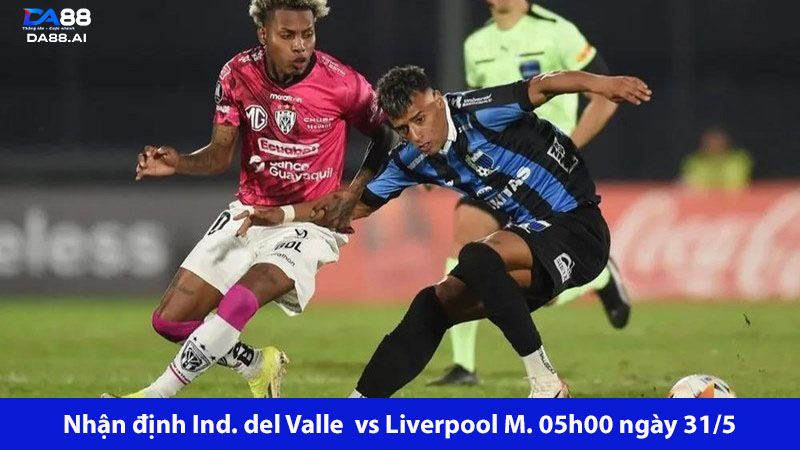 Ind. del Valle vs Liverpool M. 05h00 ngày 31/5